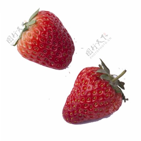 二个红色的草莓免抠图