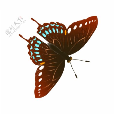 可爱的蝴蝶装饰插画