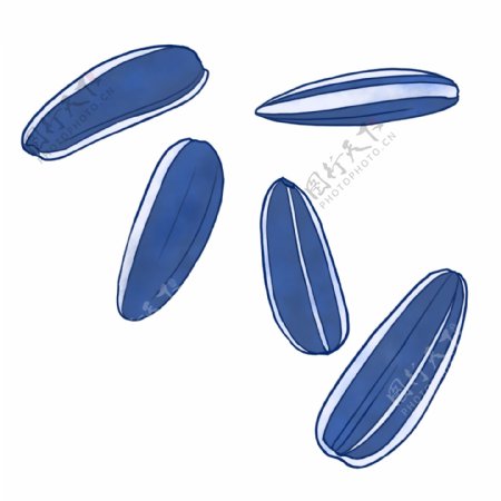 蓝色的葵花籽插画