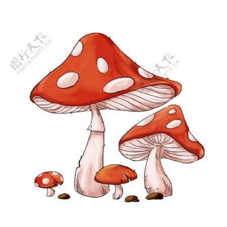 清新红色蘑菇森林菌类植物手绘元素
