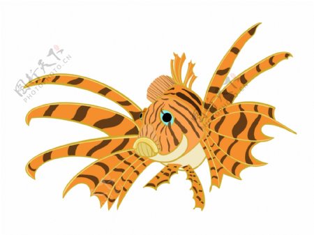 黄色卡通虎纹斑鱼