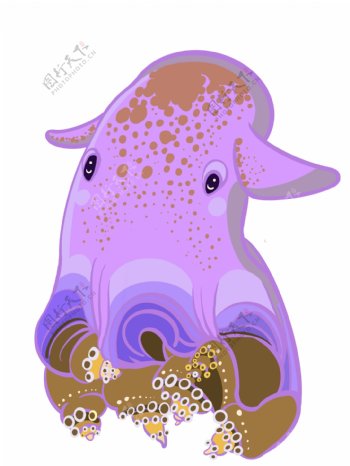 海洋生物紫色