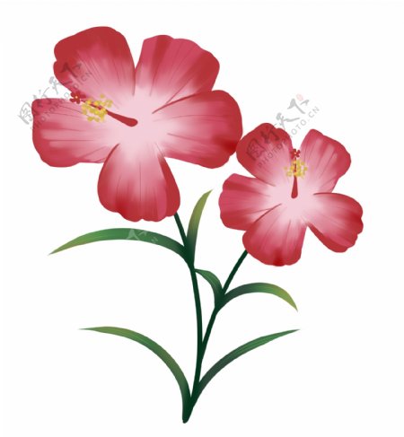卡通两朵红花插图