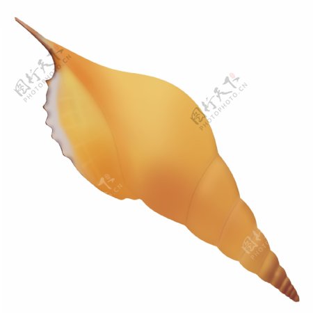 黄色海螺动物