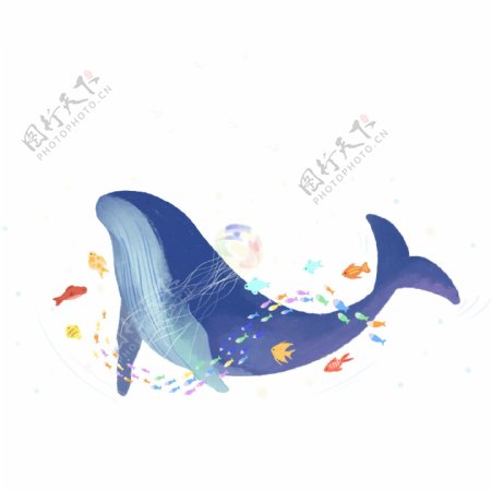 手绘鲸鱼和小鱼插画元素