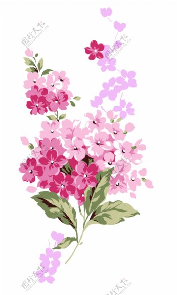 粉紫色的花卉psd素材