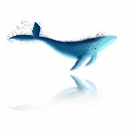 手绘海洋鲸鱼倒影设计元素