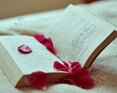书本和花卉唯美意境