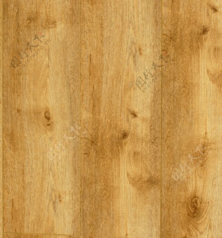 金丝橡木地板