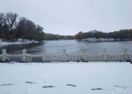 湖水的冬