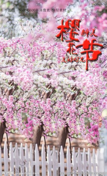 浪漫樱花节樱花背景设计