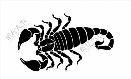 昆虫系列蝎子剪影