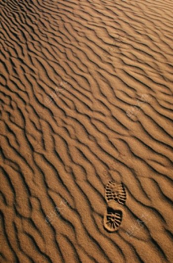 沙漠脚印风景旅行冒险