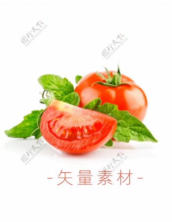 番茄西红柿蔬菜矢量高清