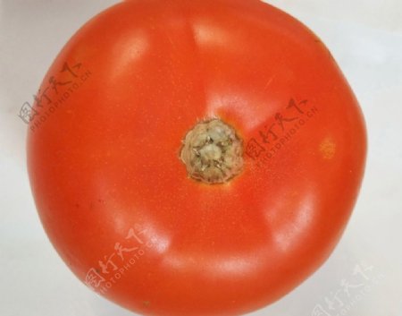 红番茄西红柿蔬菜新鲜