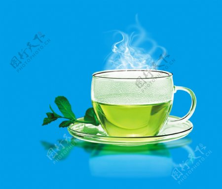 茶叶茶玻璃茶杯透明茶杯