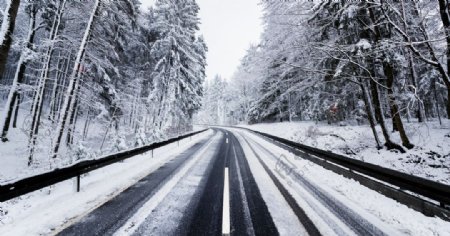 大雪森林公路风景