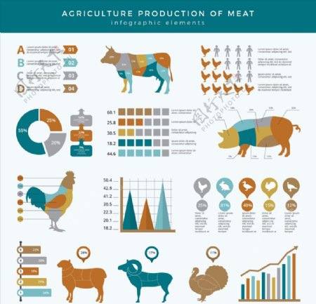 养殖动物肉类信息图表素材