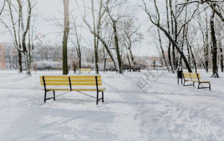 雪后的公园摄影
