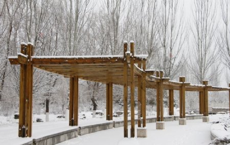 雪中公园凉亭