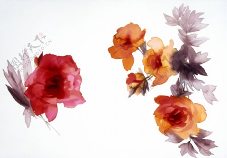 时尚水彩手绘花朵花卉