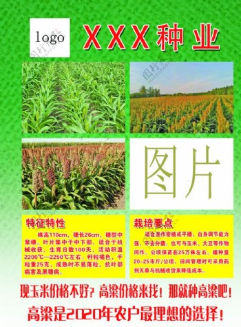种业种子化肥农产品农业传单