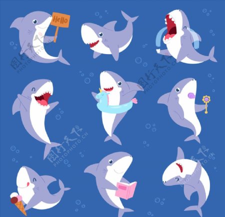 可爱鲨鱼