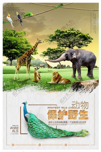 创意保护野生动物海报