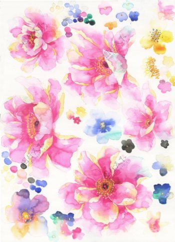 原创水彩手绘艺术花卉素材