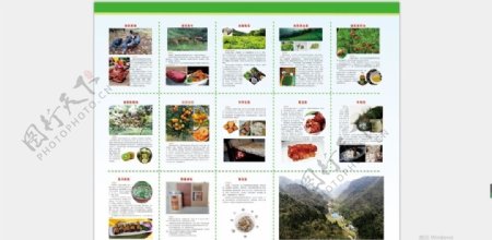 农产品宣传手册