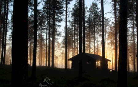 幽暗森林里的小木屋