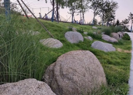 公园里的大石头