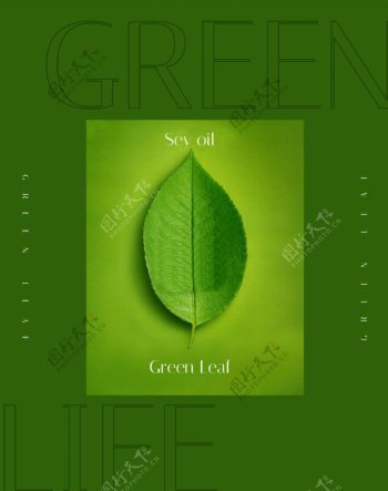 环保绿叶海报