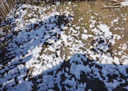 下雪过后的田地里