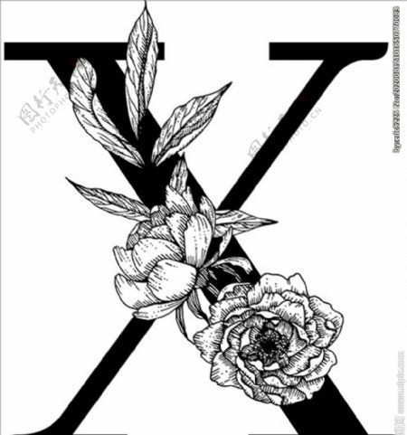 花卉装饰字母字母X