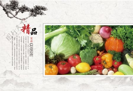 水果蔬菜画册