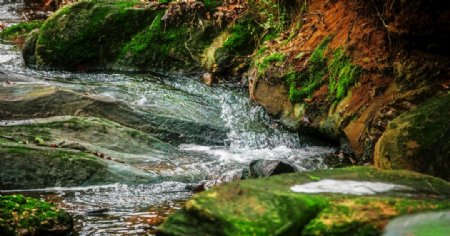 溪水自然生态清新背景素材