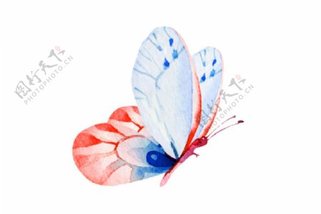 蝴蝶水彩艺术装饰背景素材图片