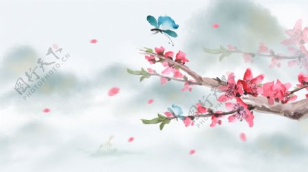 梅花花瓣插画卡通背景素材图片