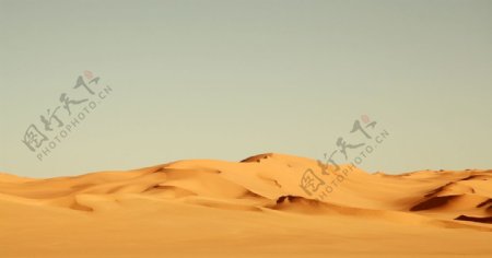 沙漠图图片