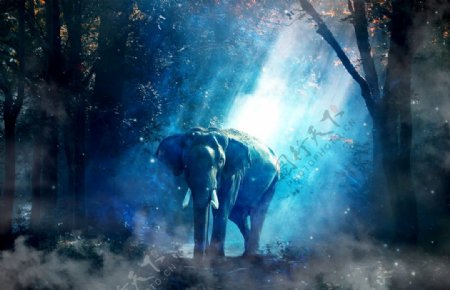 森林大象魔幻背景海报素材图片