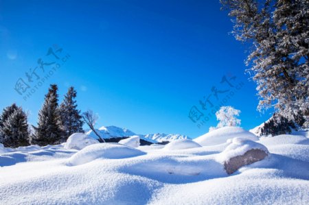 大雪无垠伊犁风光图片