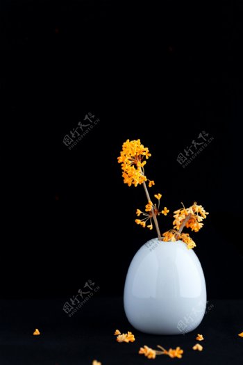 桂花花朵简约背景海报素材图片