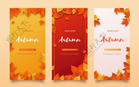 秋季落叶背景卡片模板图片