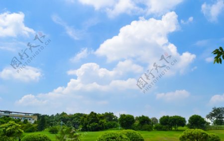 蓝天白云绿植摄影图片