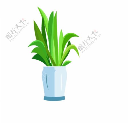 花瓶与植物图片
