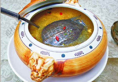 豫菜原汁野生水鱼图片