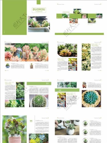 植物画册图片