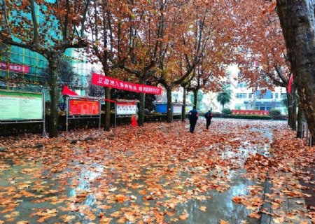 深秋时节的校园风景图片
