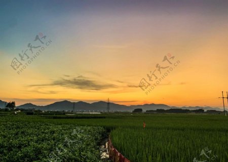 黄昏的稻田与山拍图片